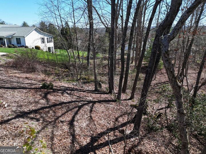 Property Photo:  Lot 91 Peyton Drive  GA 30513 