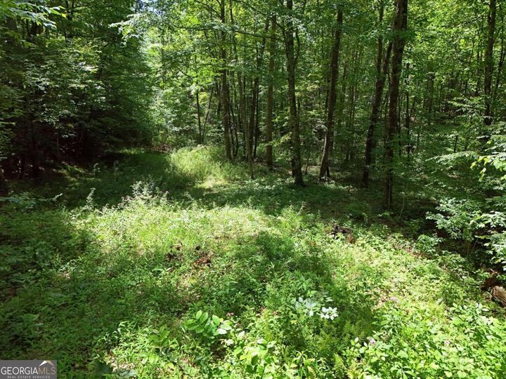 Property Photo:  Lt 15/15A Hightower Ridge  GA 30546 