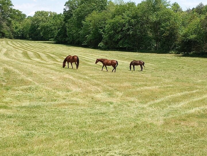 Property Photo:  9786 Hartsville Pike  TN 37087 