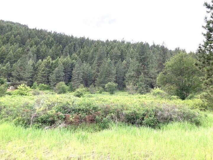 Property Photo:  20xx Northport Flat Creek Rd  WA 99141 