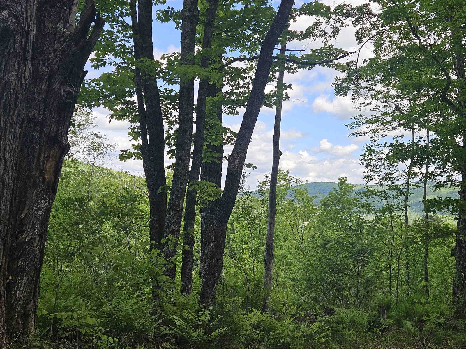 Property Photo: 324 Crane Hill Road NH 03486