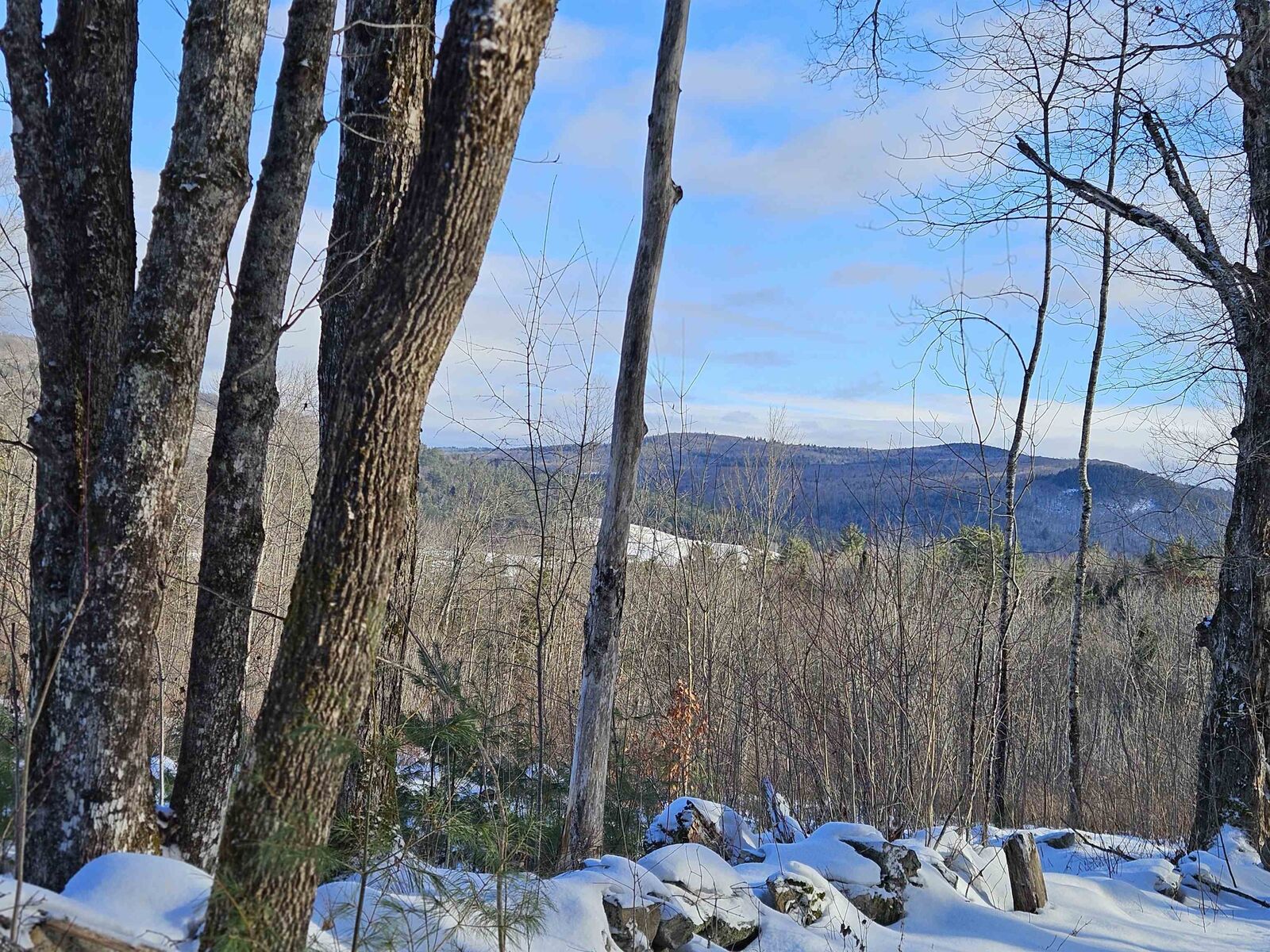 Property Photo:  324 Crane Hill Road  NH 03486 