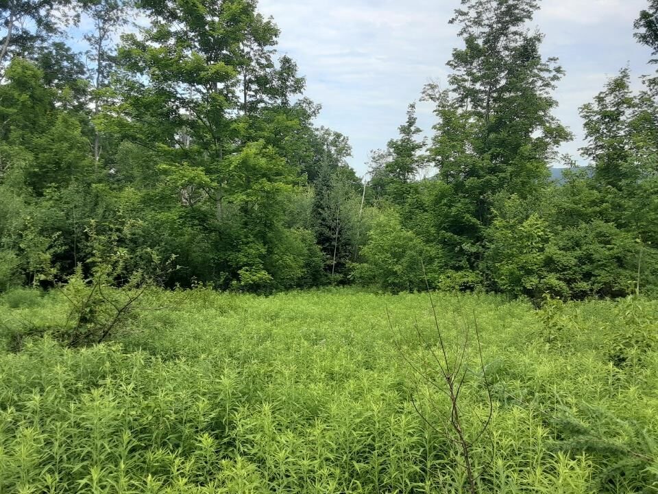 Property Photo:  324 Crane Hill Road  NH 03486 