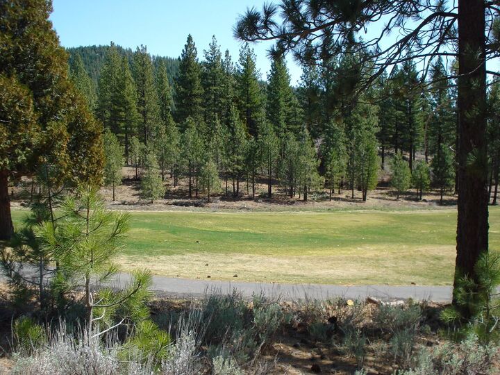 Property Photo:  404 Blacktail Ridge  CA 96122 