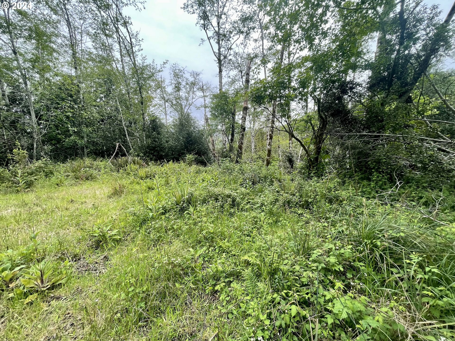 Property Photo: Campbell Rd OR 97415