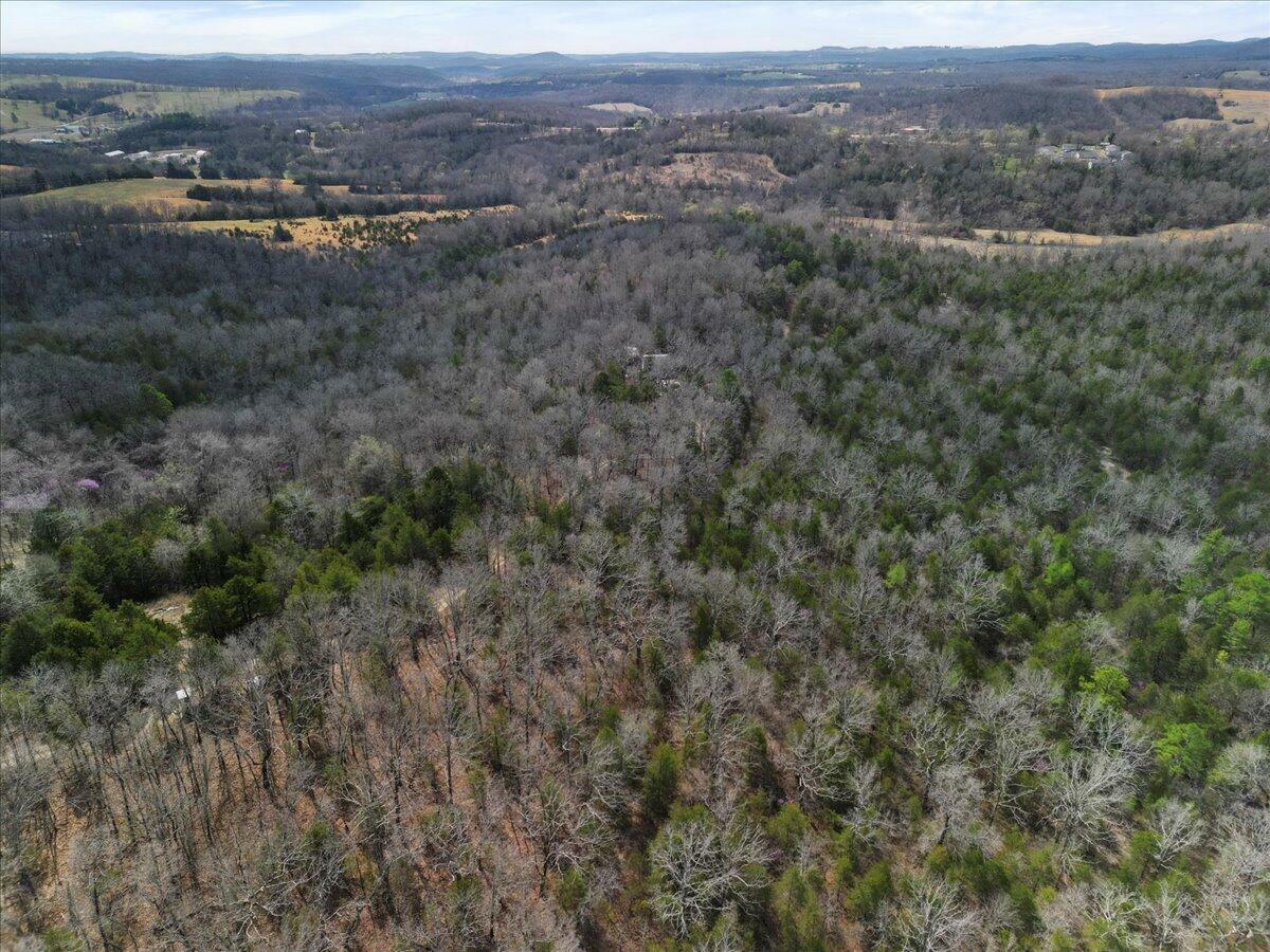 Property Photo: 000 County Road 804 MO 65655