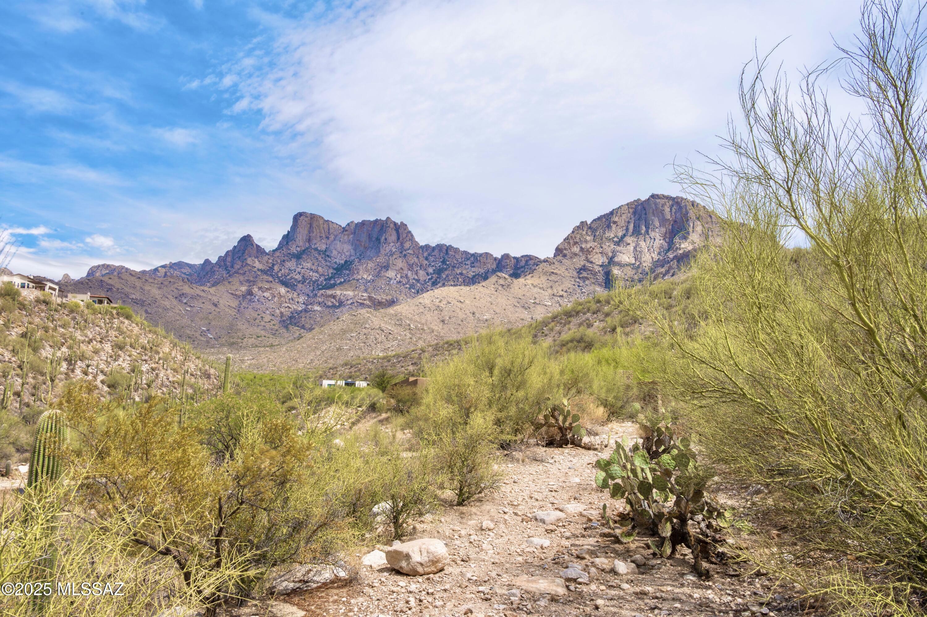 Property Photo: 2164 E Buck Ridge Place 59 AZ 85737