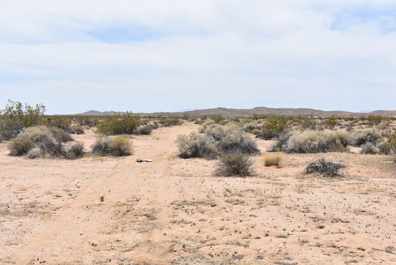 Property Photo:  225th St E And Ave B8  CA 93535 