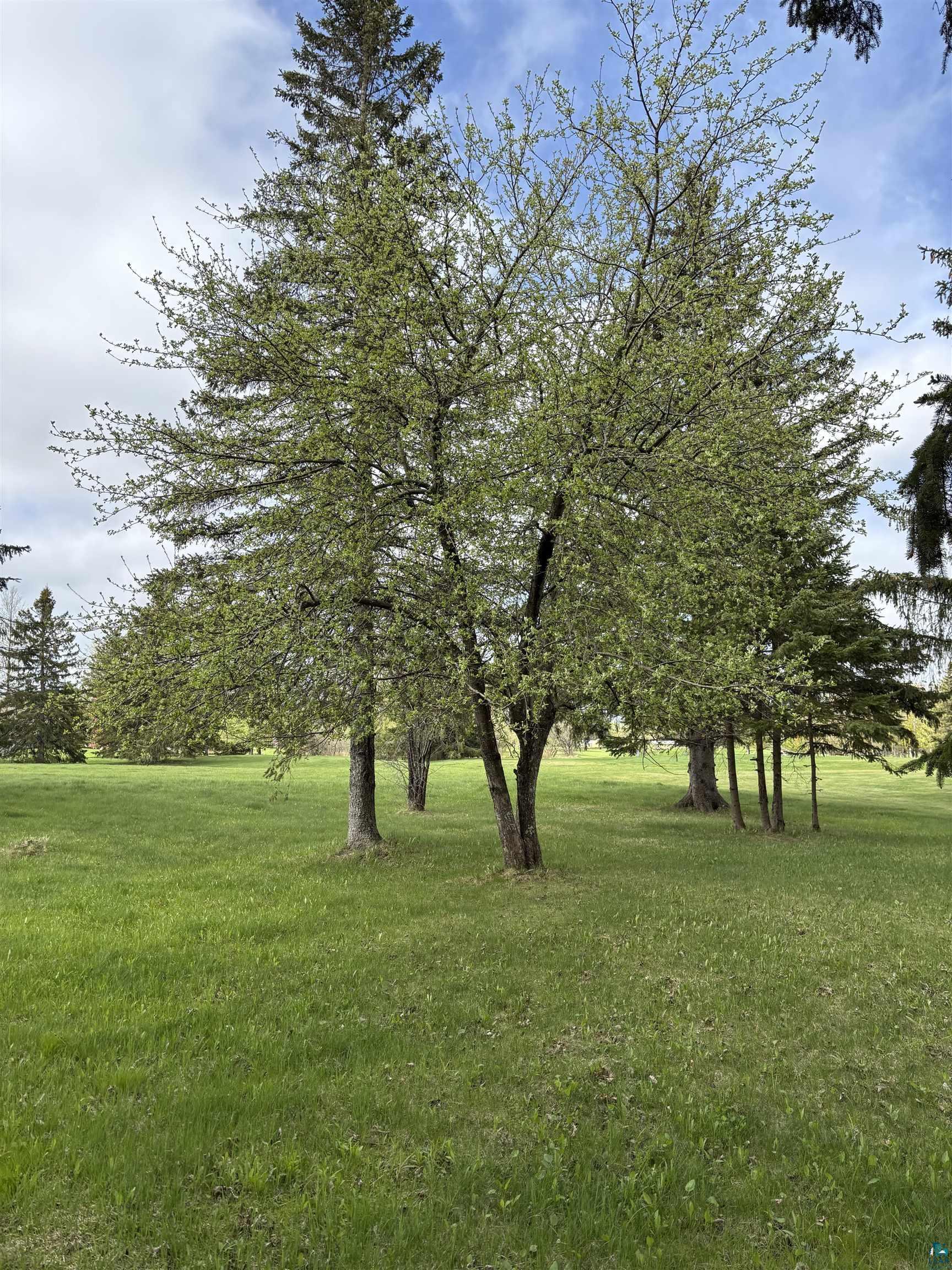 Property Photo: Lot 2 Golf Course Rd WI 54806