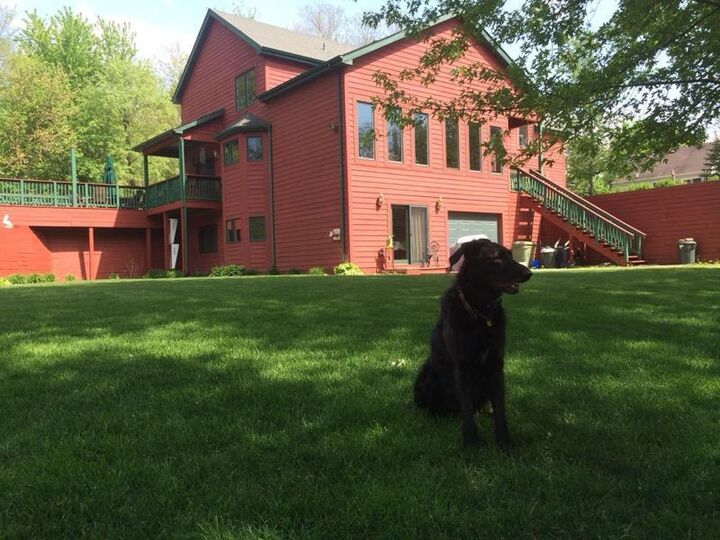 299 E 4th Avenue  New Lenox IL 60451 photo