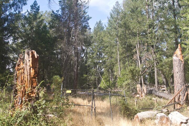 Property Photo:  4801 Coyoteville  CA 95629 