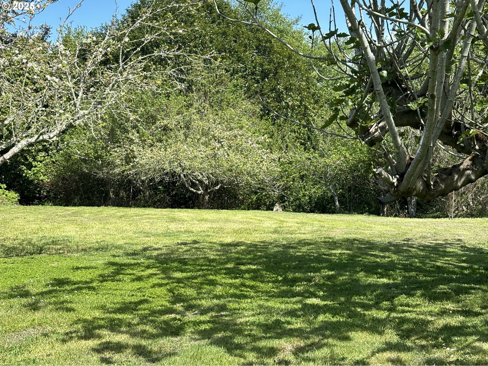 Property Photo: Crestline Loop OR 97415