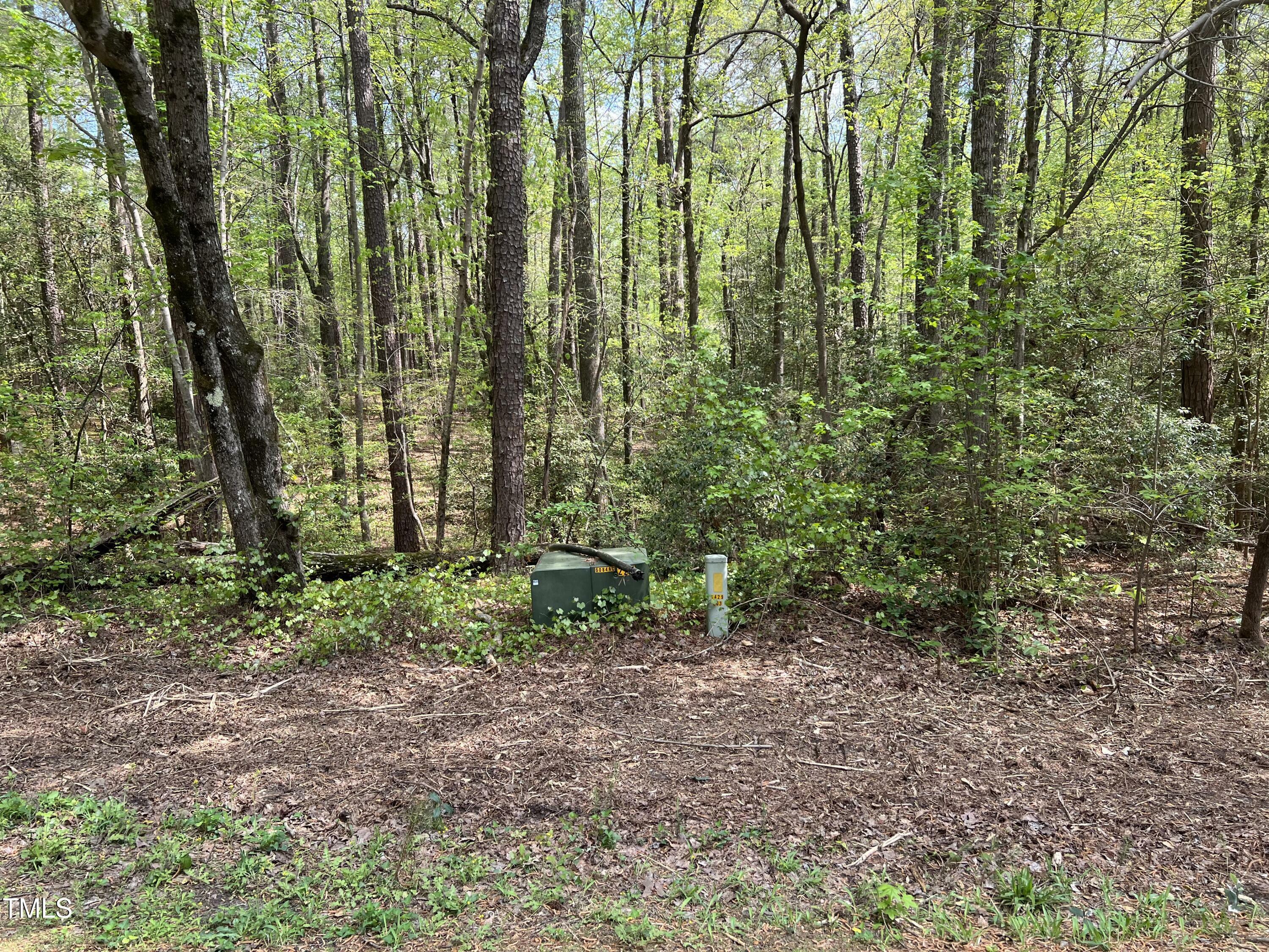 Property Photo: 413 Back Bay NC 27332