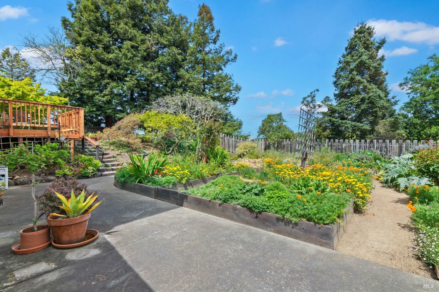 Property Photo: 263 Carlisle Way CA 94510