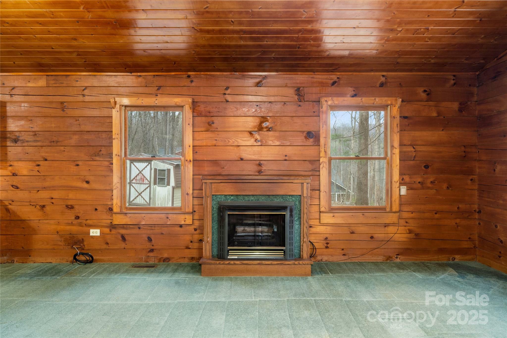 Property Photo: 398 Locust Drive NC 28751