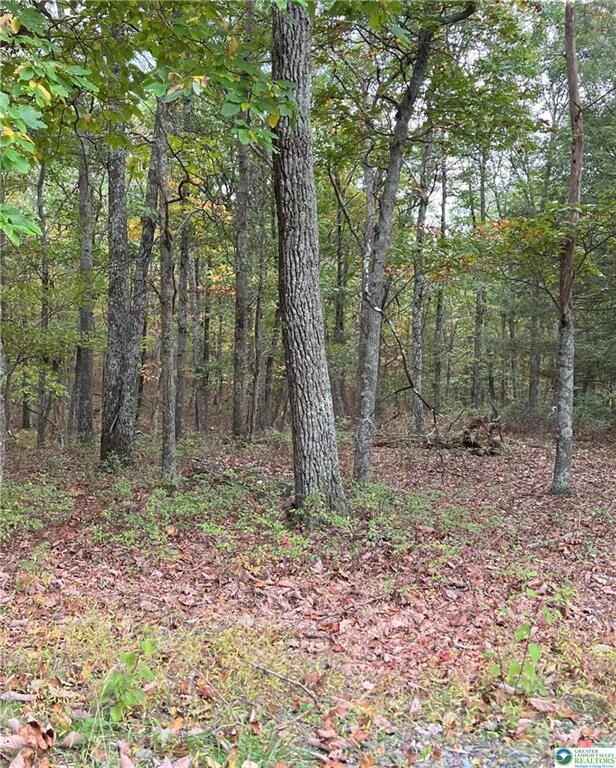 Property Photo: 289 Forest Drive PA 18325