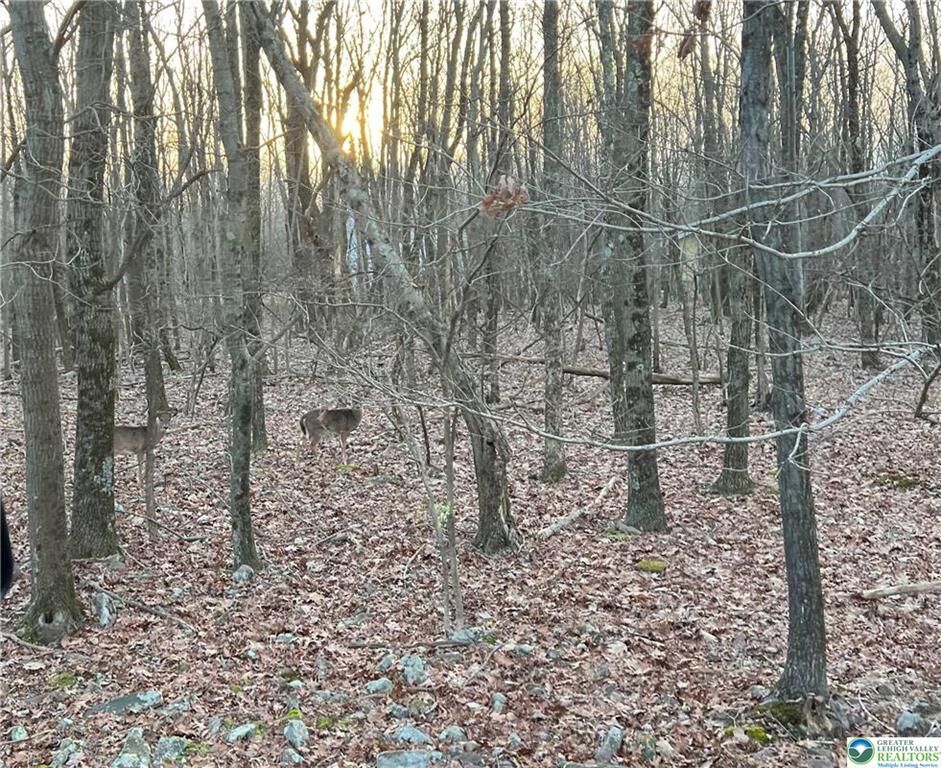 Property Photo: 36 Occoquan Trail PA 18210