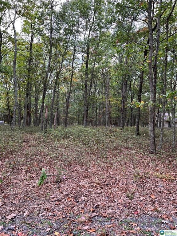 Property Photo: 275 Forest Drive PA 18325
