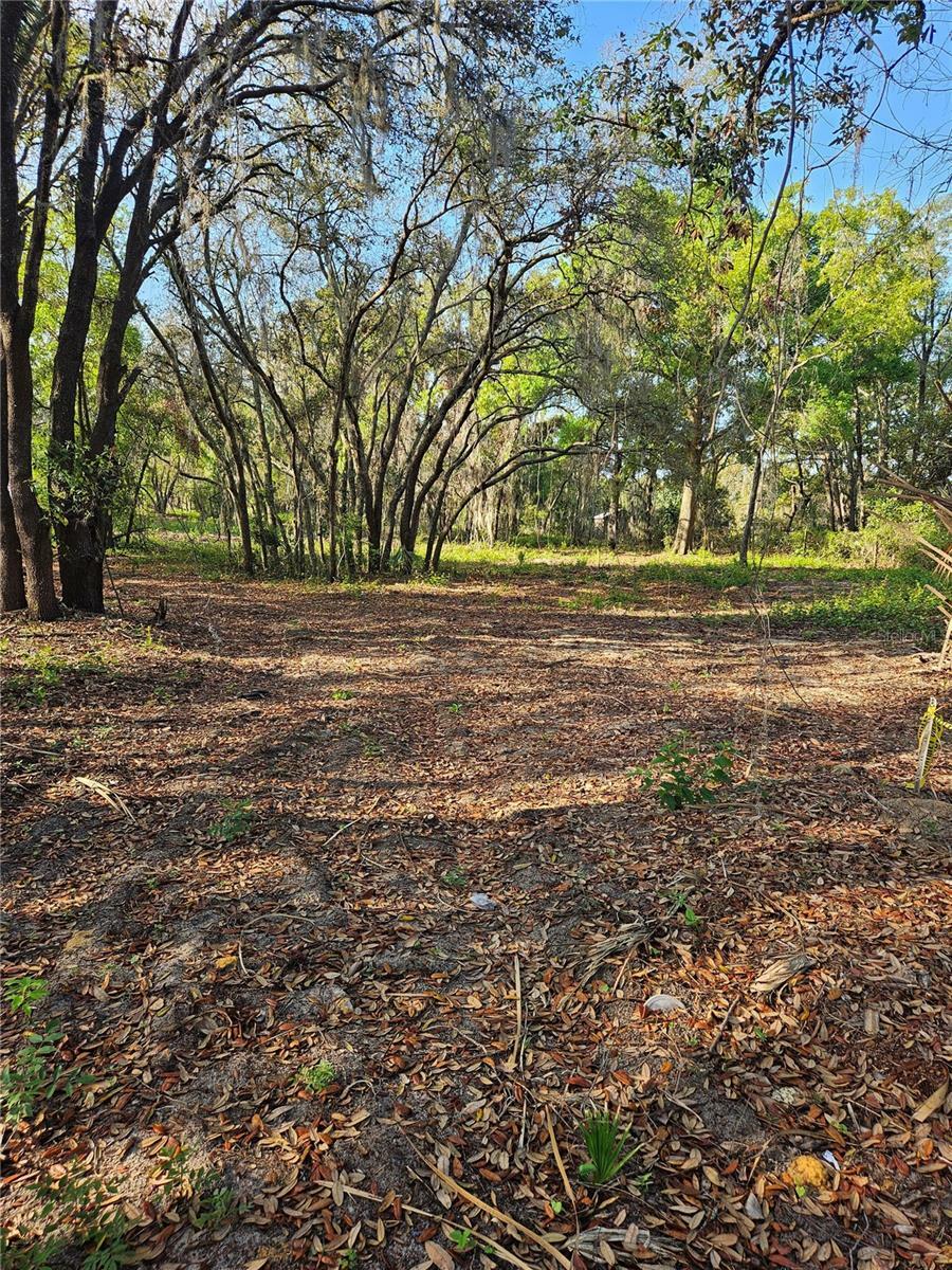 Property Photo: 22160 Obrien Road FL 34737