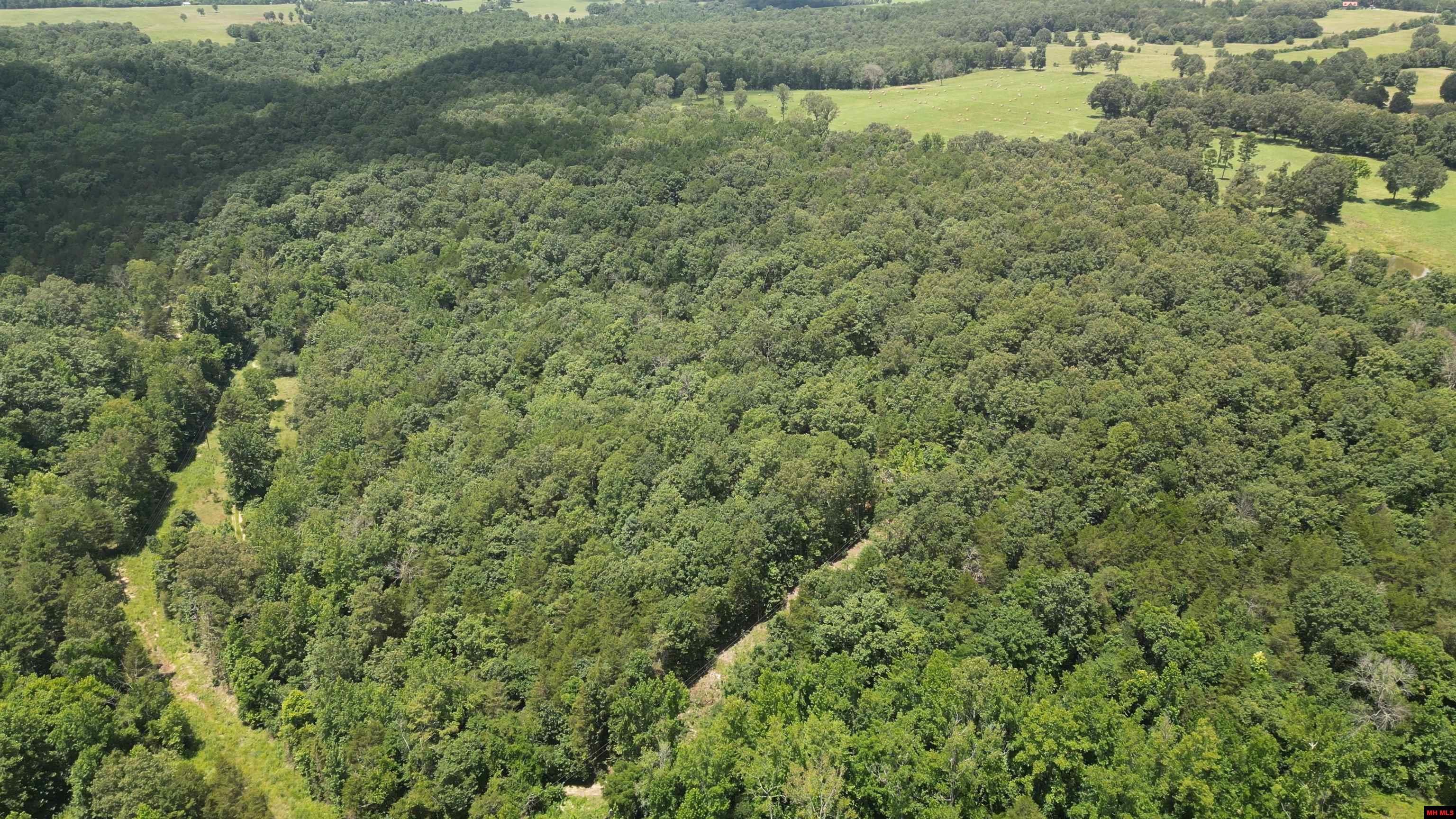 Property Photo: 881 Driftwood Drive AR 72566