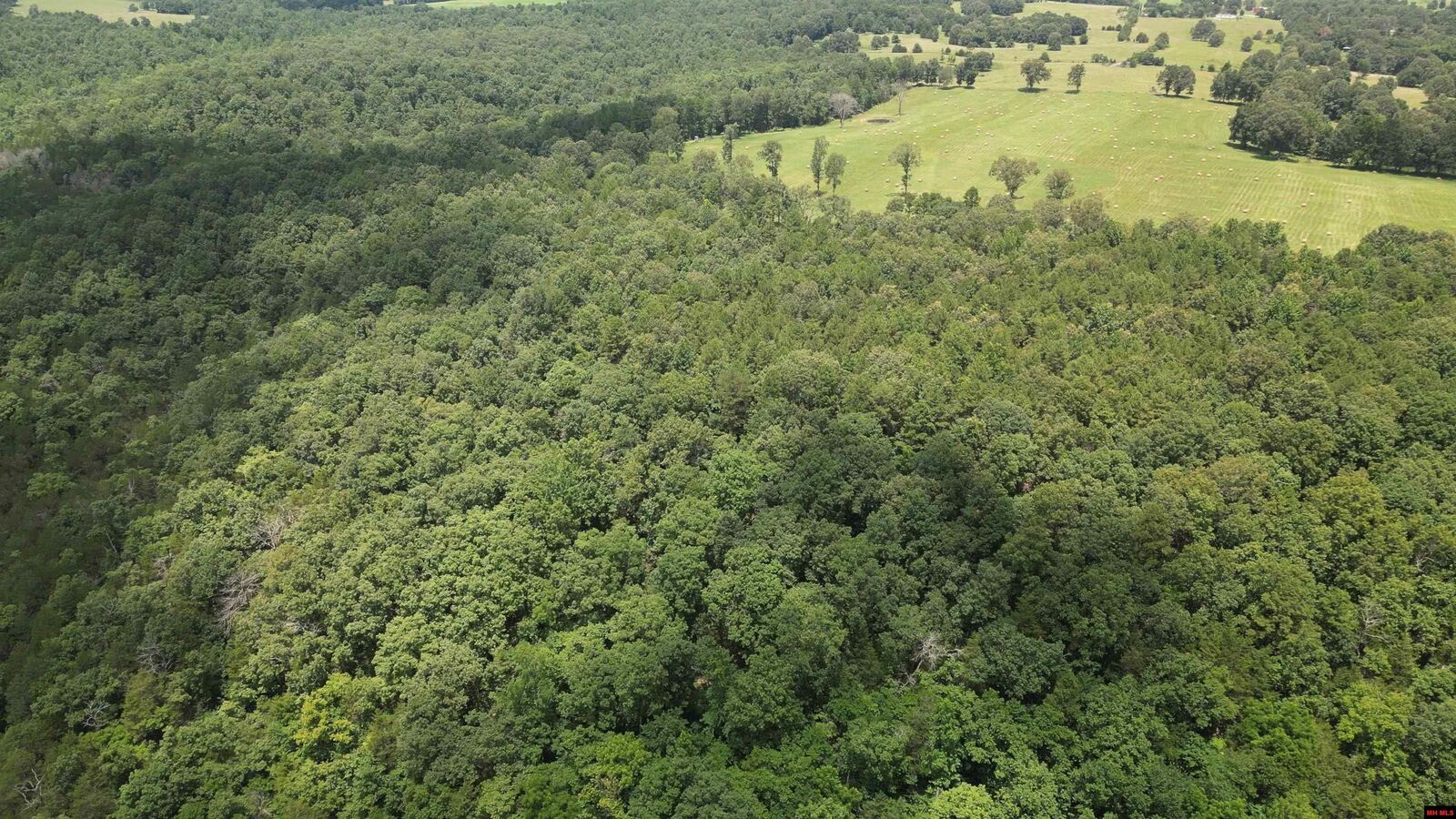 Property Photo:  881 Driftwood Drive  AR 72566 