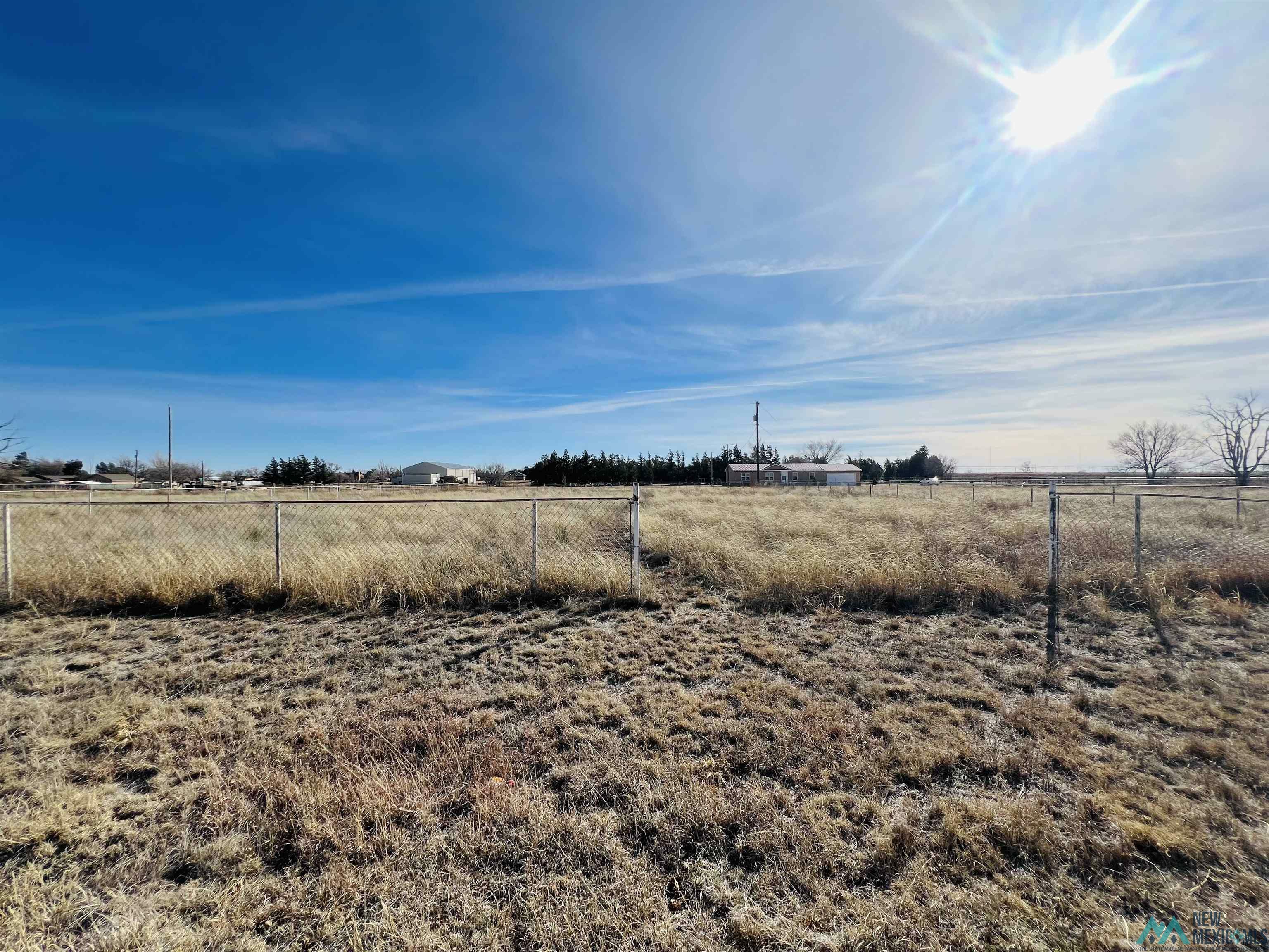 Property Photo:  221 Lynn Avenue  NM 88101 