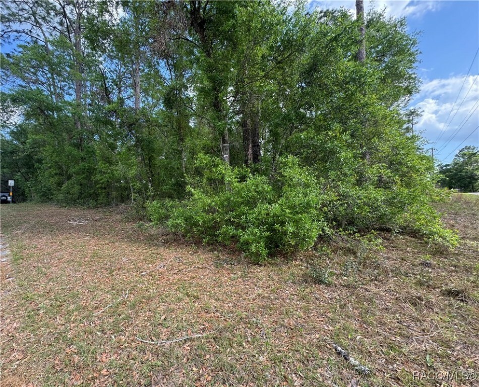 Property Photo: 6576 E Gurley Street FL 34453
