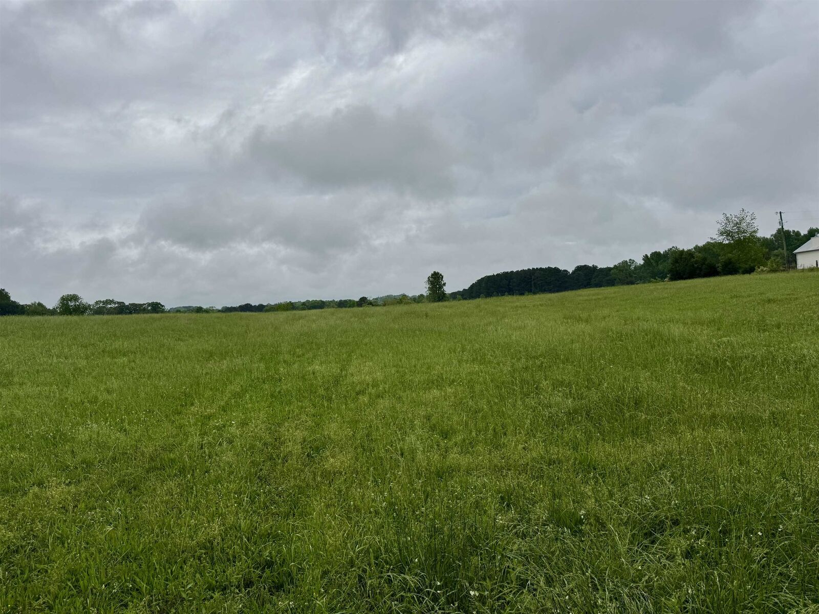 Property Photo:  0 Co Rd 1650  AL 35058 - CULLMAN 