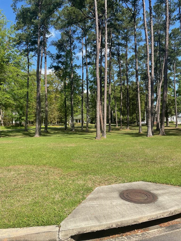 Property Photo:  111&Amp113 Wayfair Court  GA 31792 