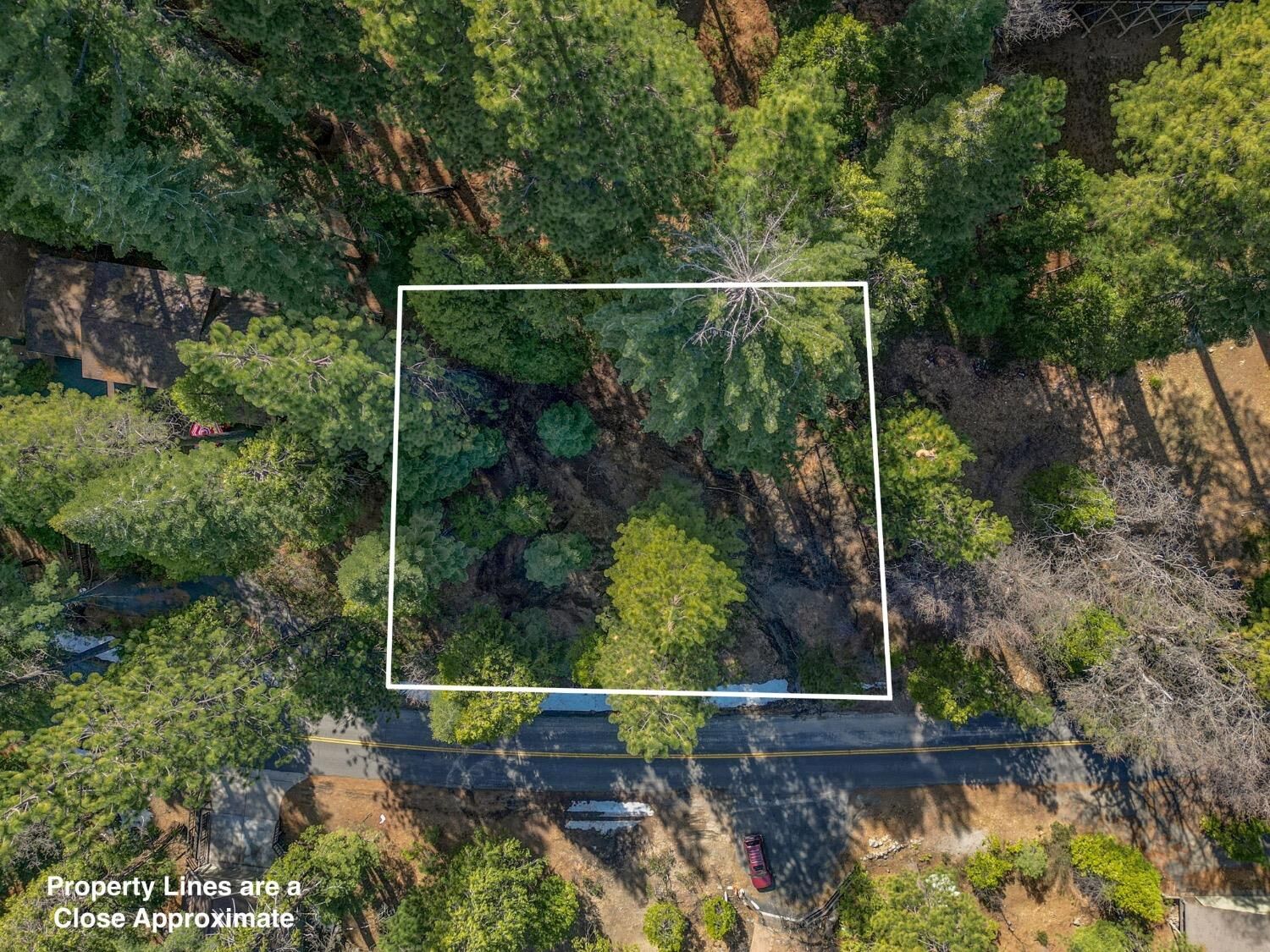 Property Photo: 2595 Cheyenne Way CA 95223