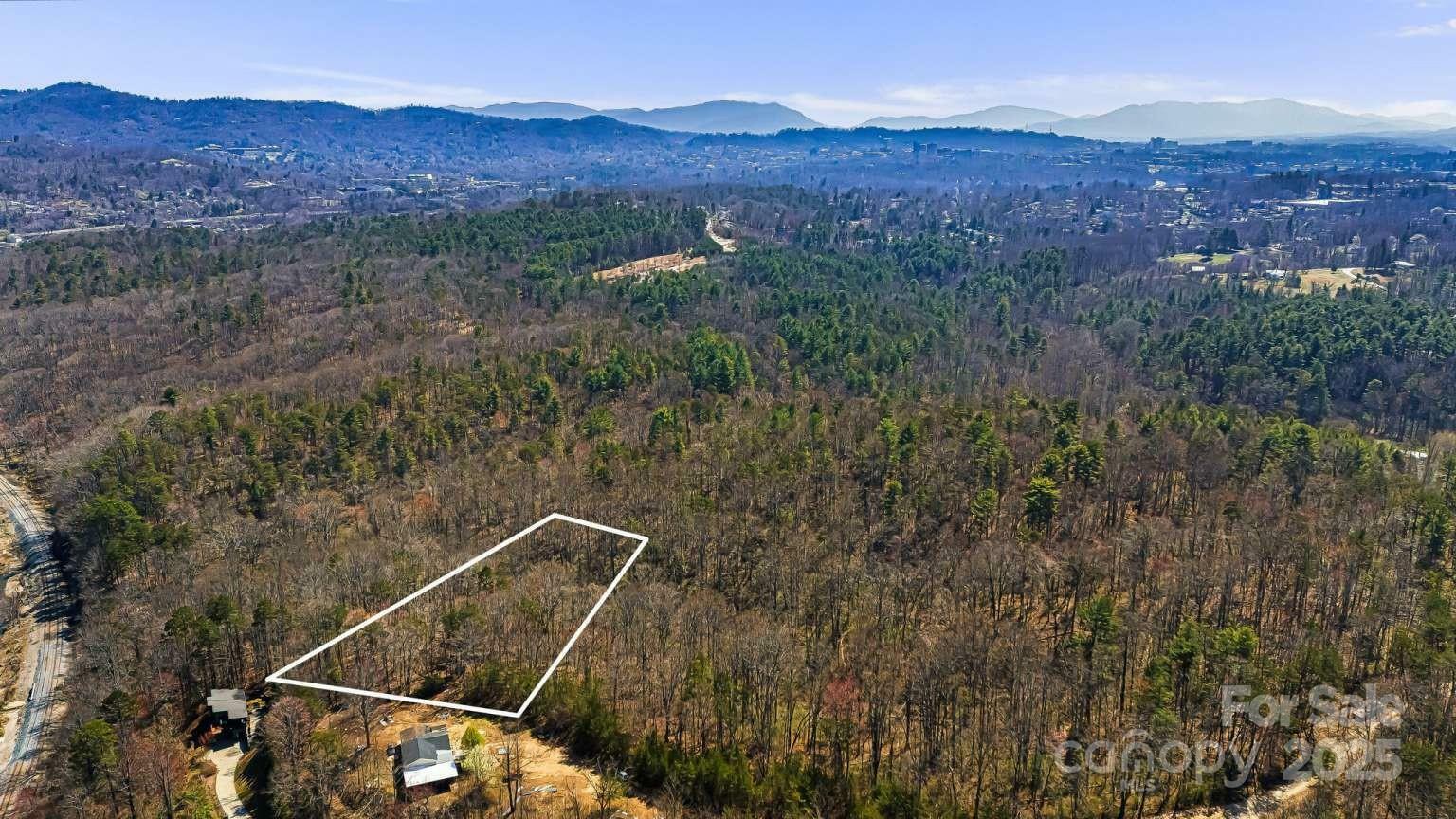 Property Photo: 165 Richmond Ridge Road NC 28806