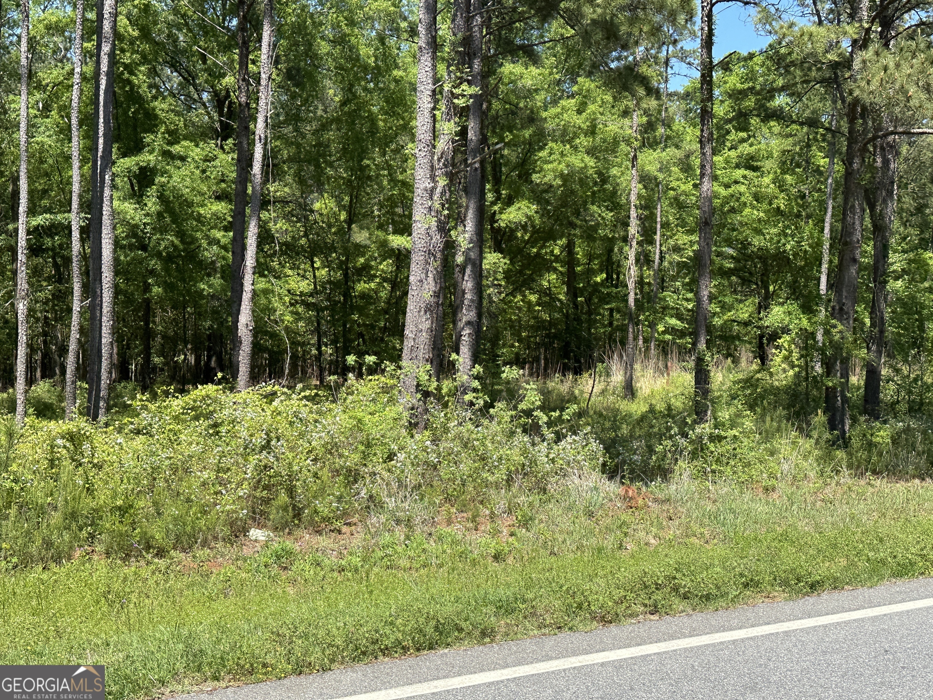 13059 E State Route 26 Road  Montezuma GA 31063 photo