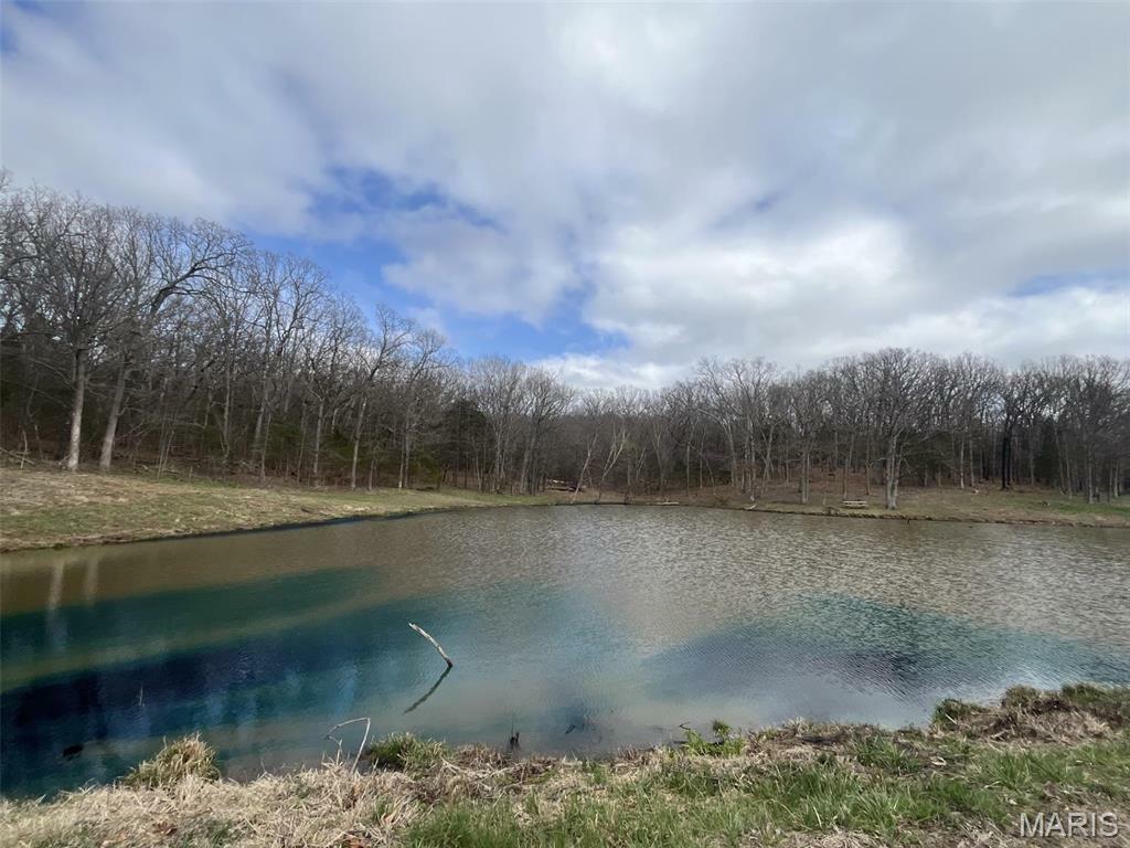 Property Photo: 0 31.46 +/- Ac Tract #4 Horstman Road MO 63068