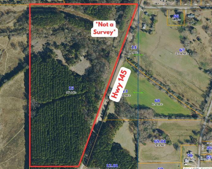 Property Photo: Highway 145 MS 38824