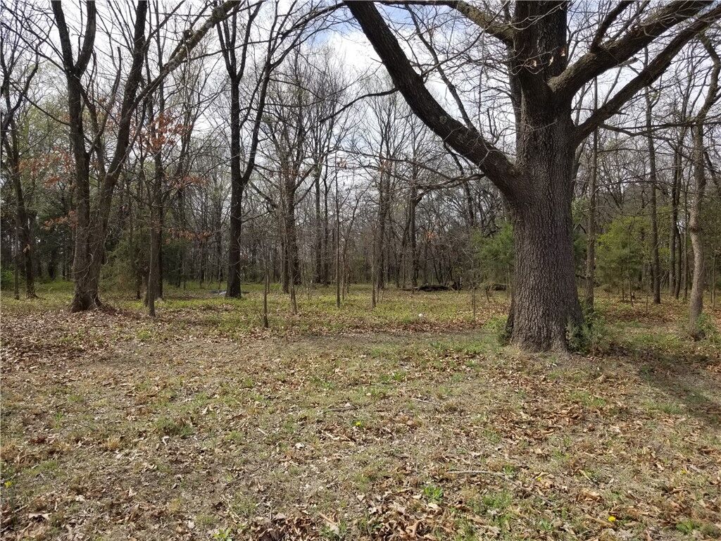 Property Photo: Tbd Bullock Road AR 72712