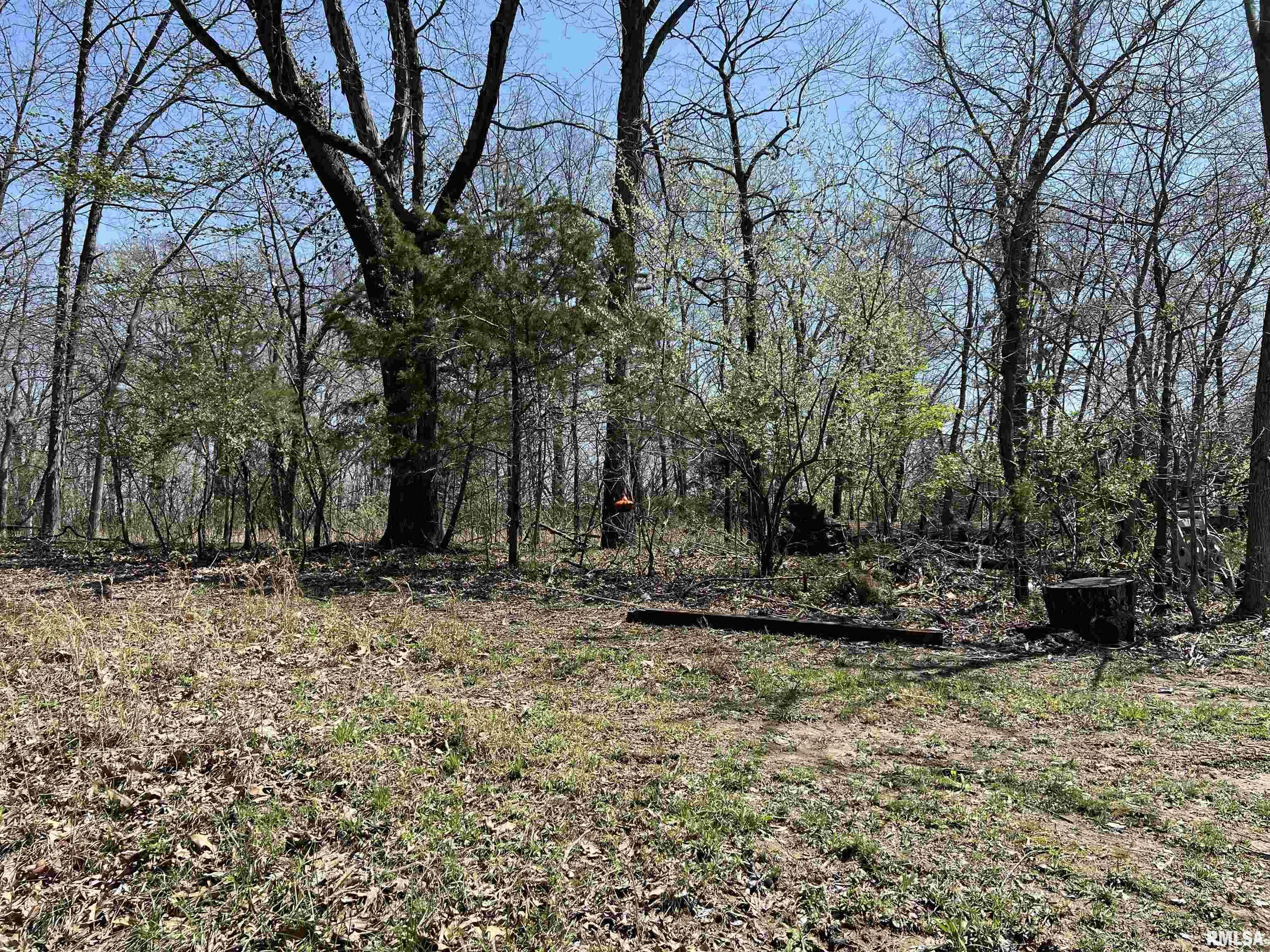 Property Photo: Lot 442 Thompson Drive IL 62939