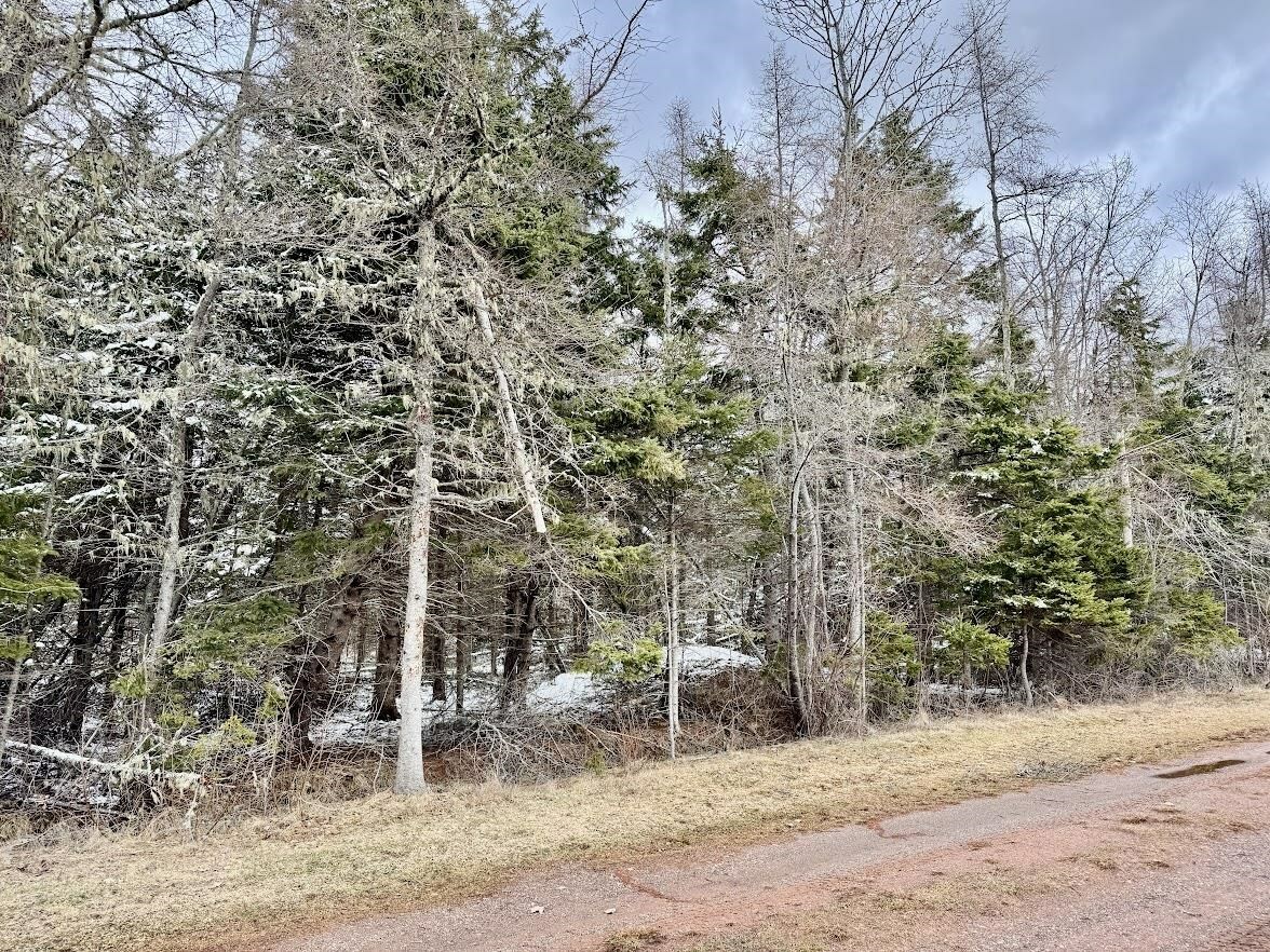 Lot Riverview Drive  Poplar Point PE C0A 1G0 photo
