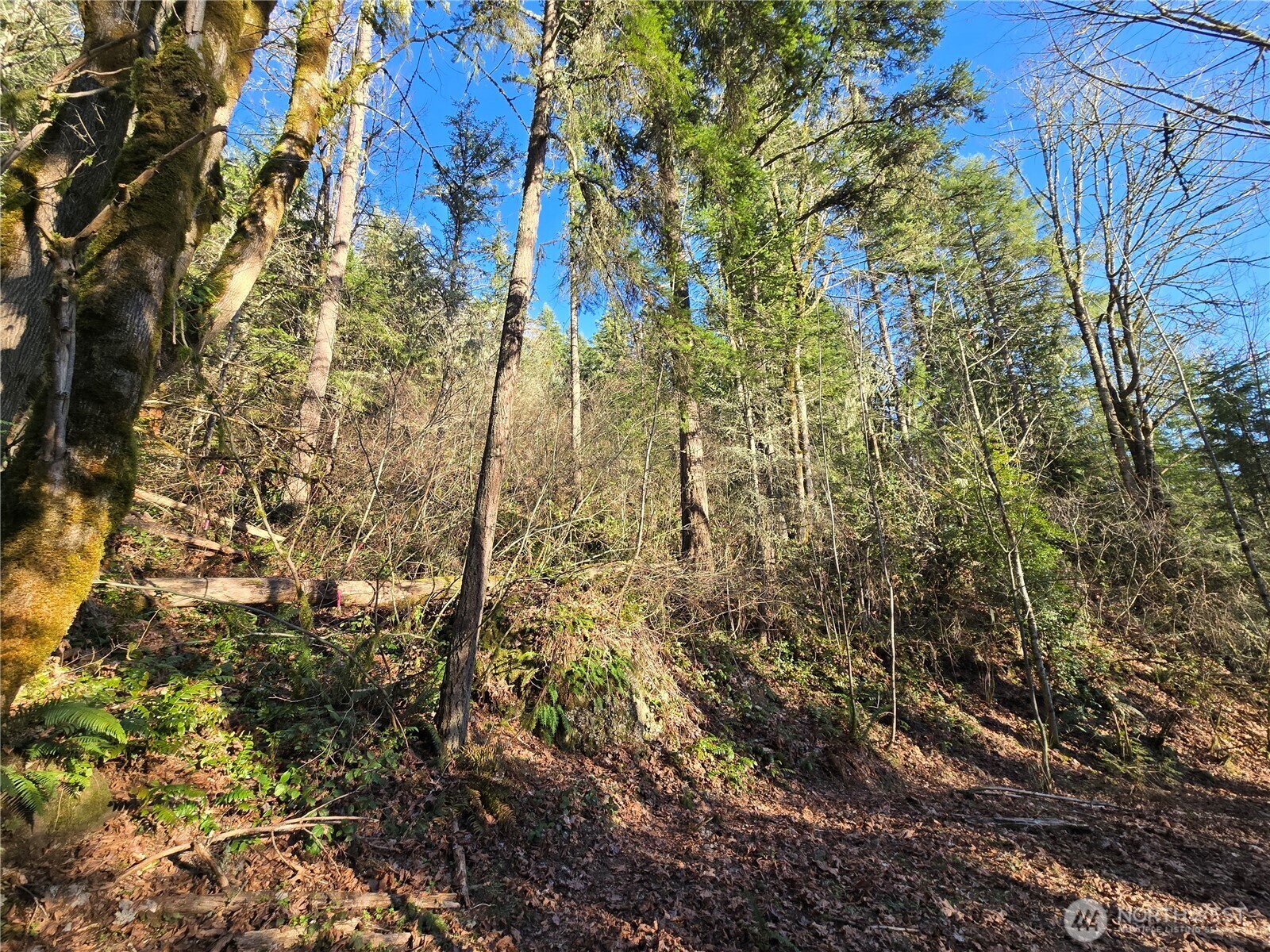 Property Photo: 116 Xx 198th Avenue E WA 98027