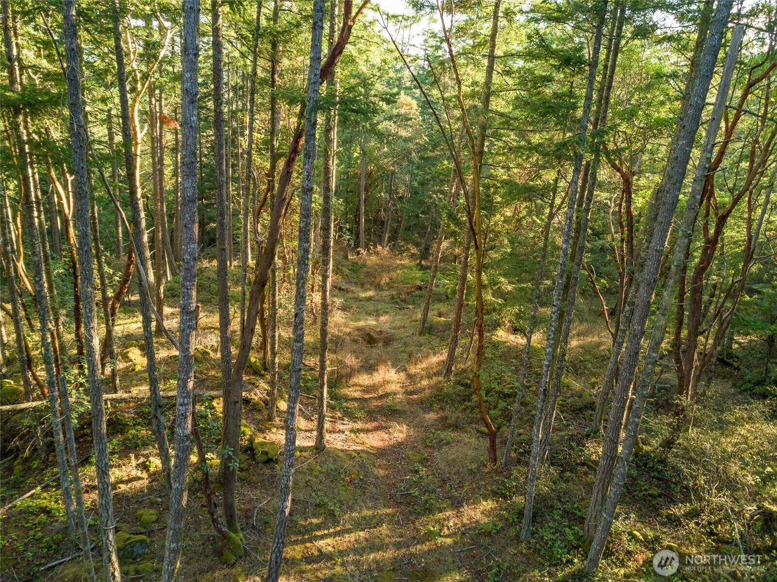 Property Photo: 0 Hyak Lane WA 98250