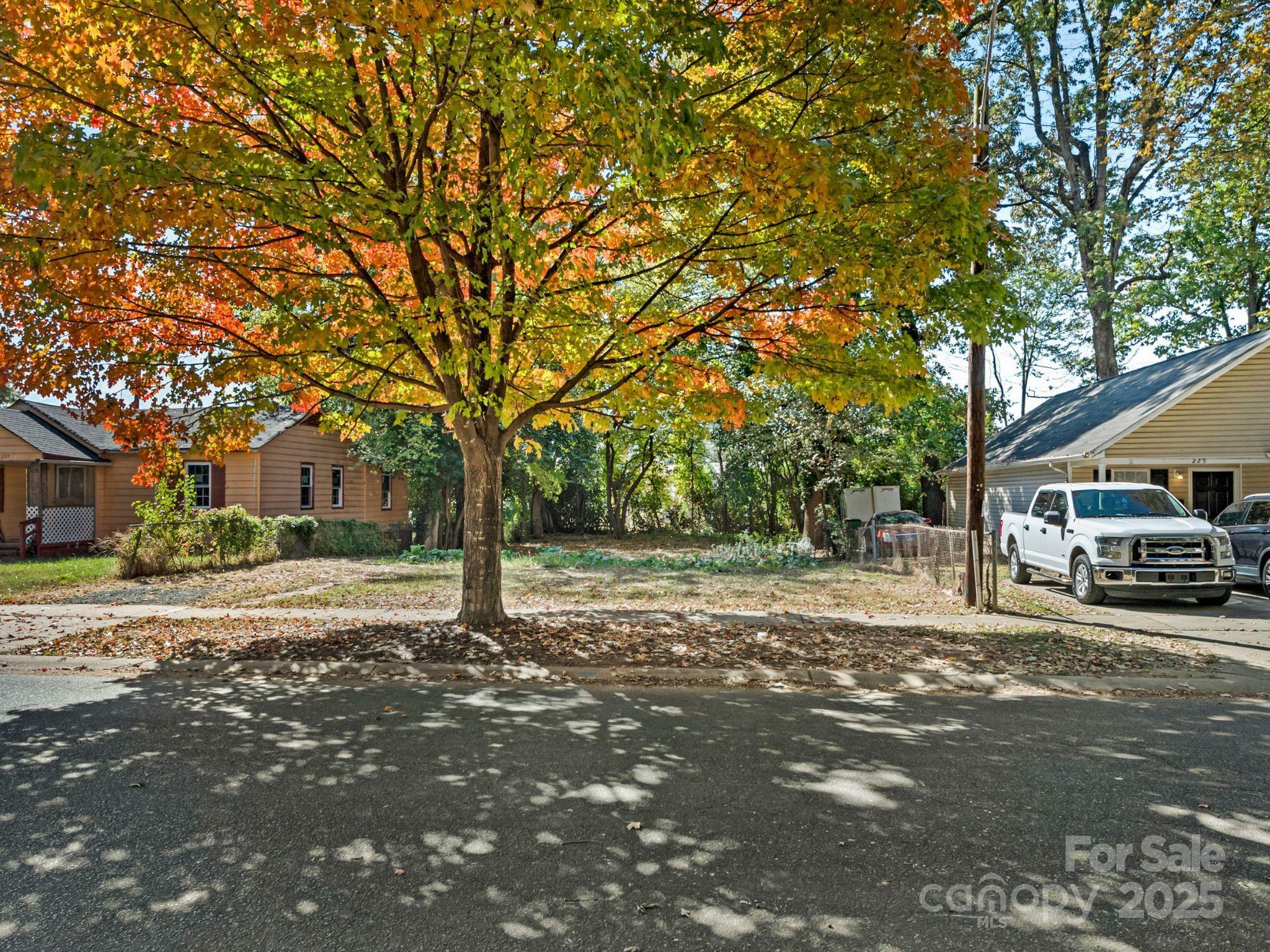 Property Photo: 221 Plymouth Avenue NC 28206