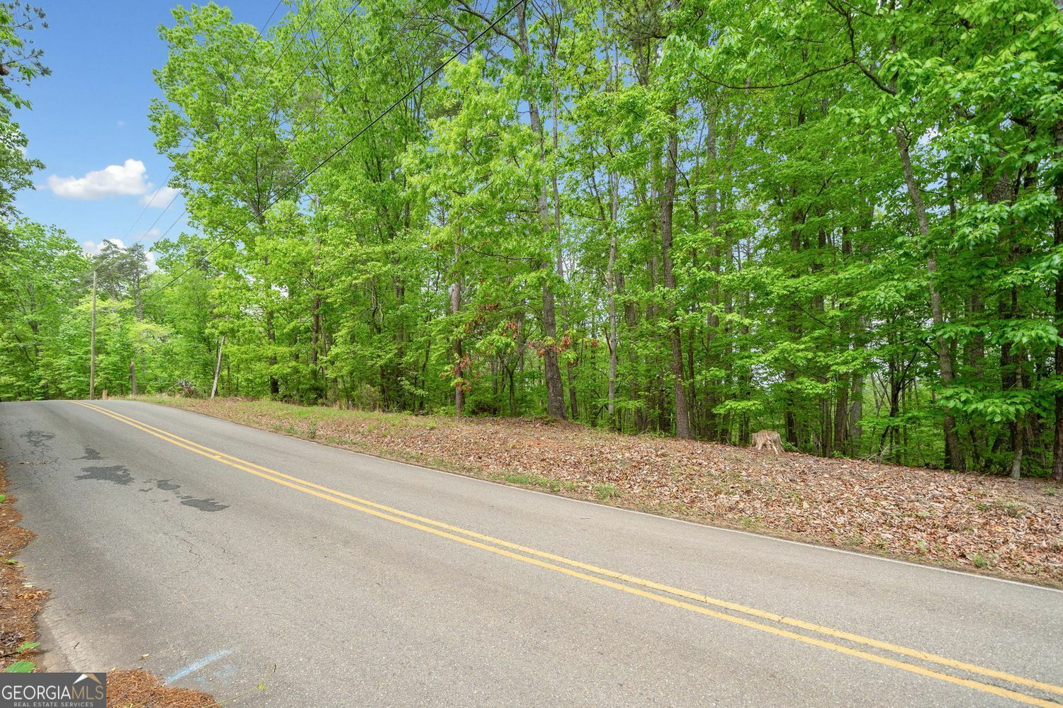 Property Photo: 2022 Pleasant Union Road GA 30114