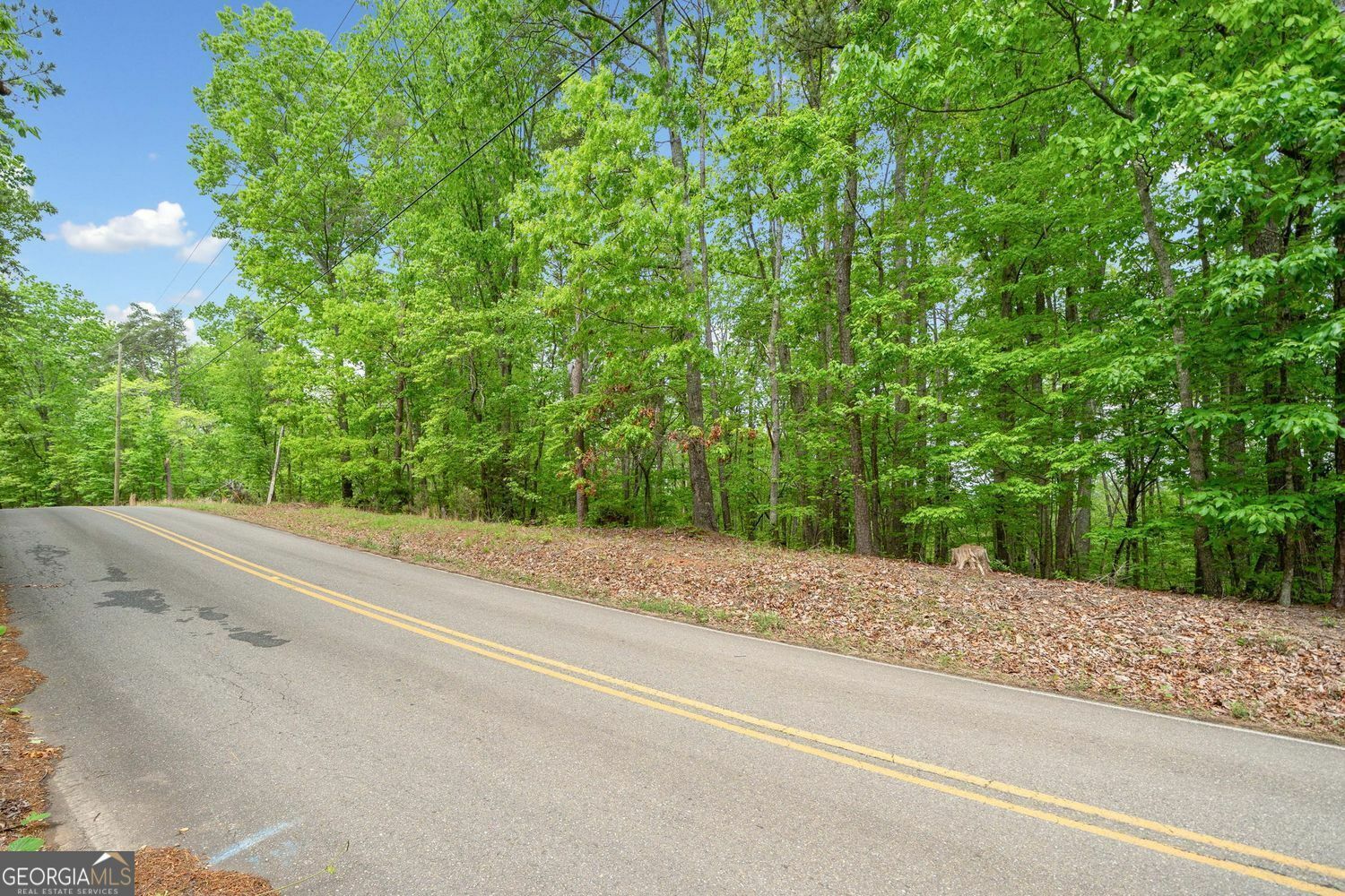 Property Photo: 2022 Pleasant Union Road GA 30114