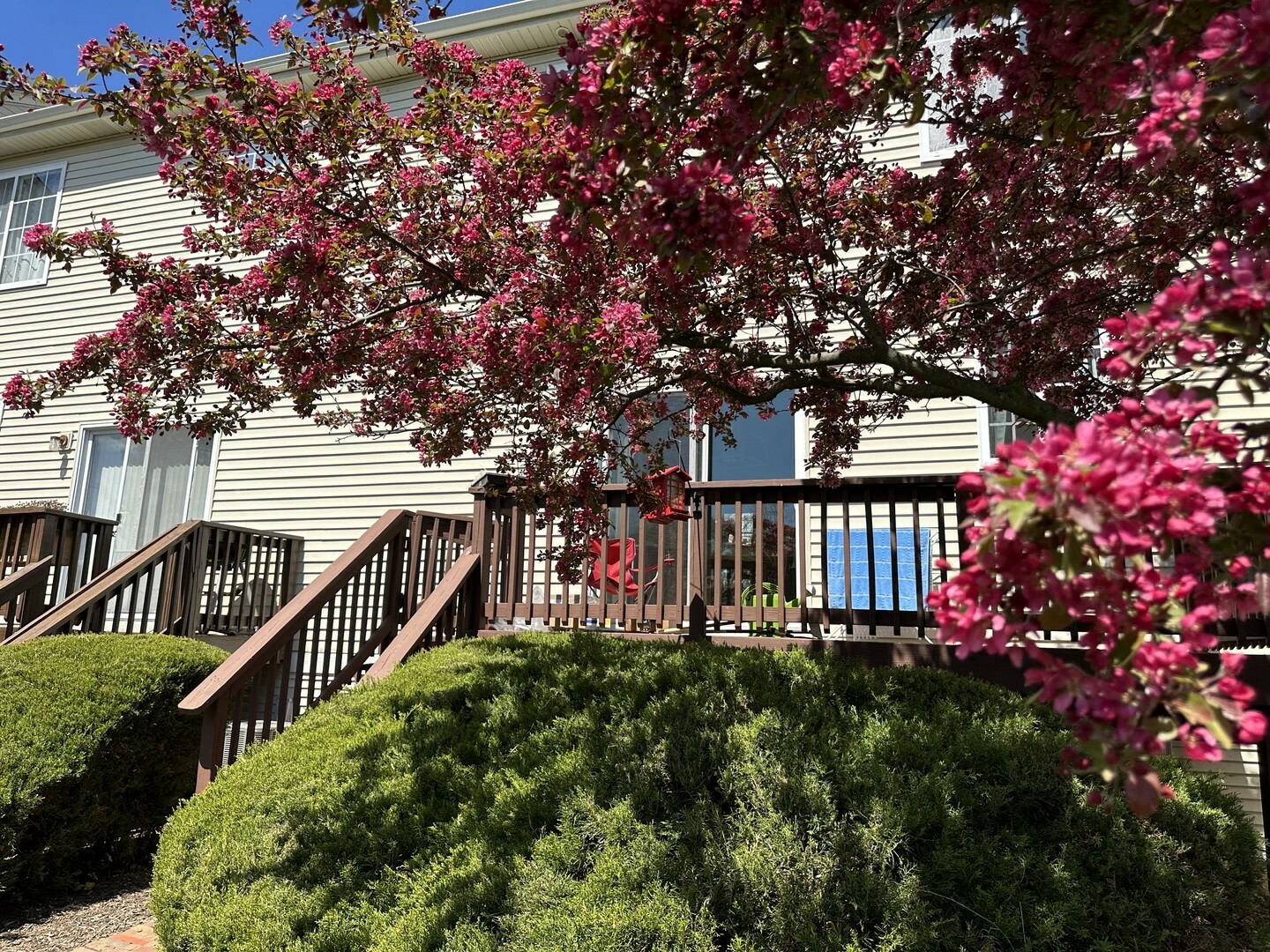 Property Photo: 1799 Indian Hill Lane 1799 IL 60503