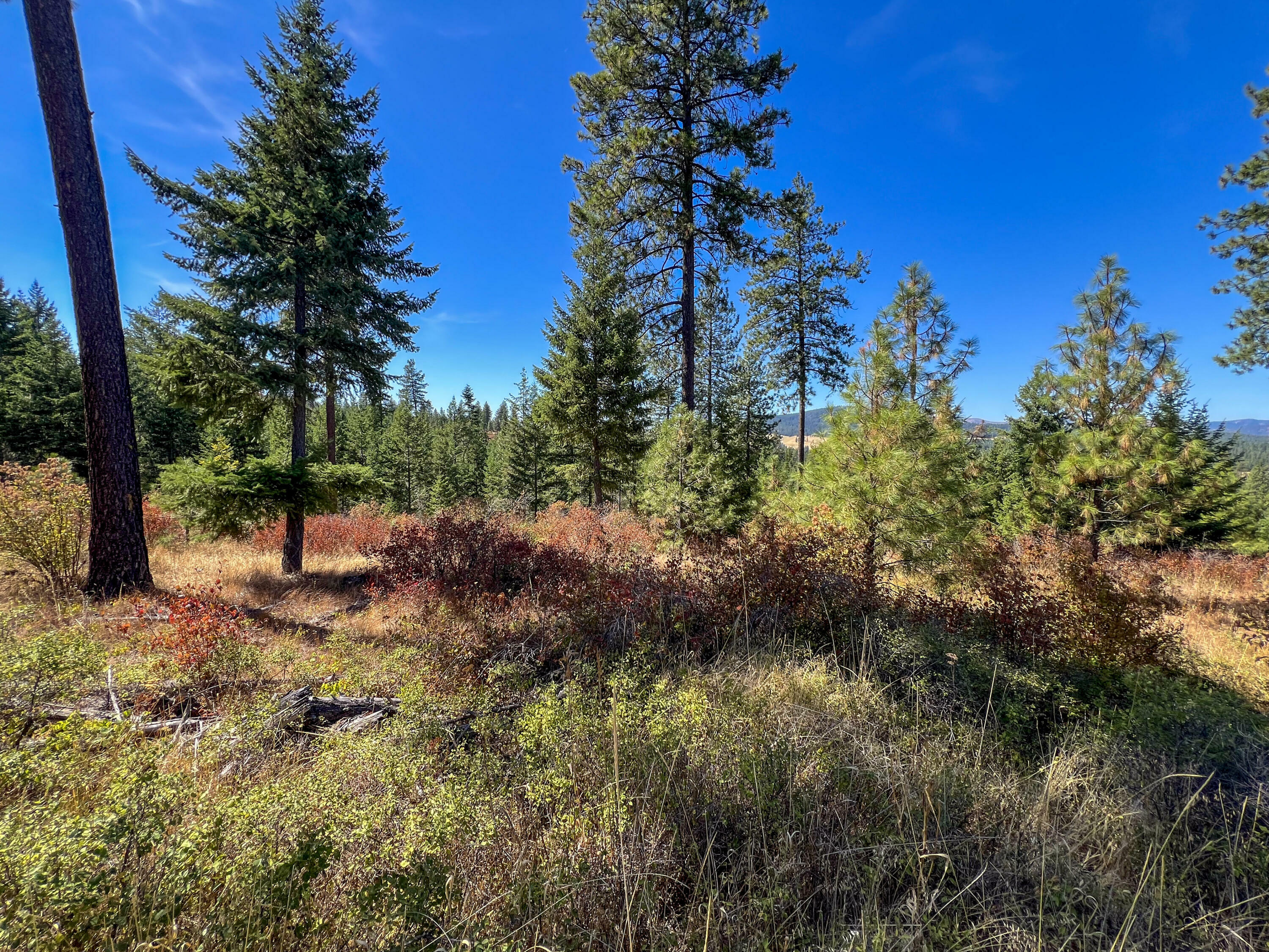 Property Photo: 52xx S Lot 7 Swenson Rd WA 99006