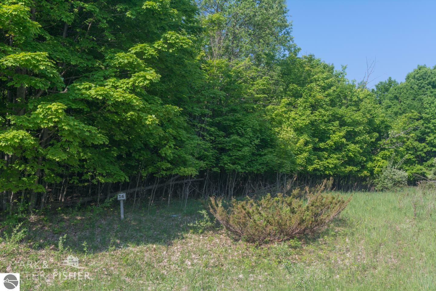 Property Photo:  16 W Harbour Ridge  MI 49664 