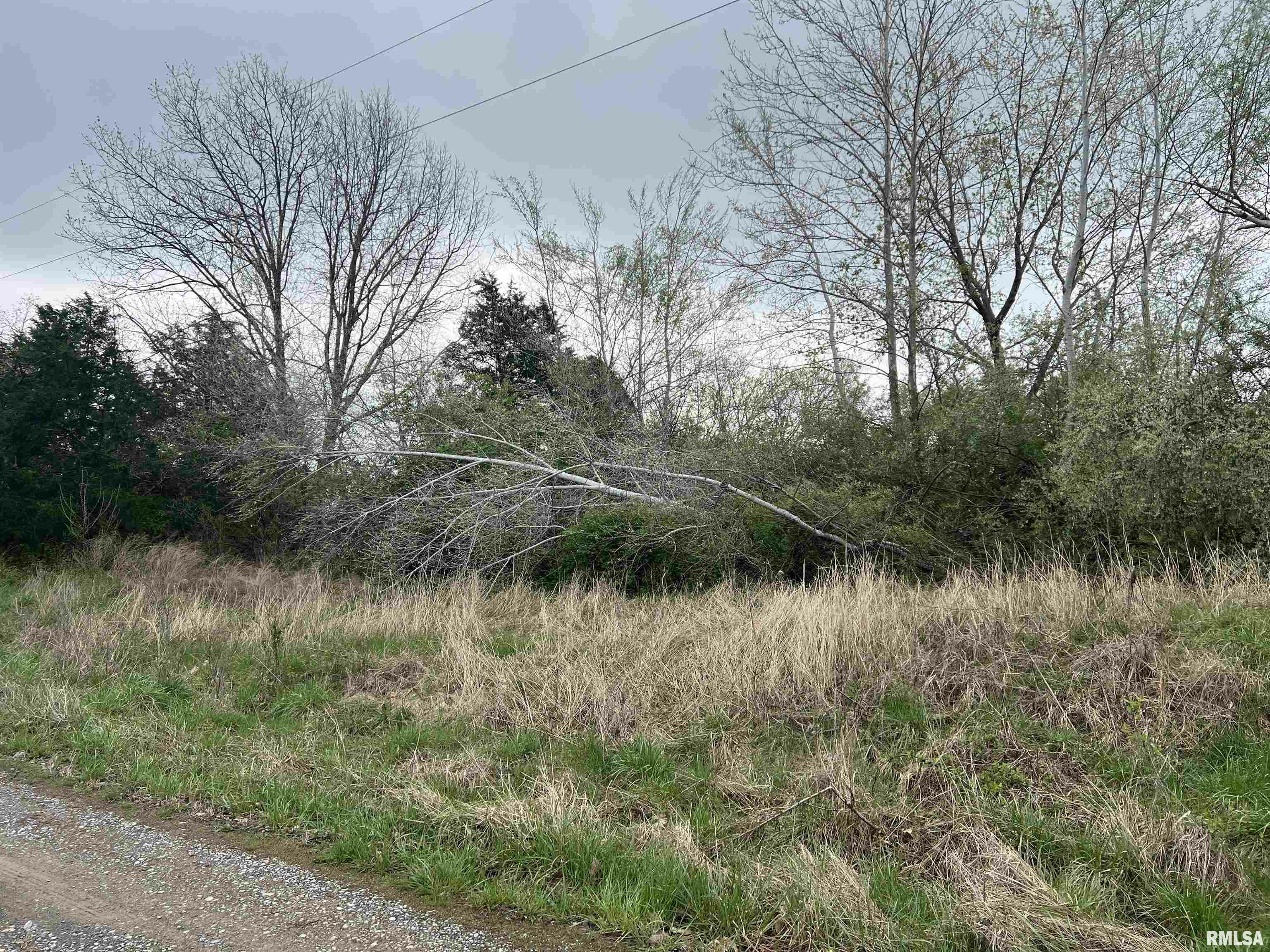 Property Photo: Lot 103 Cherokee Road IL 62939