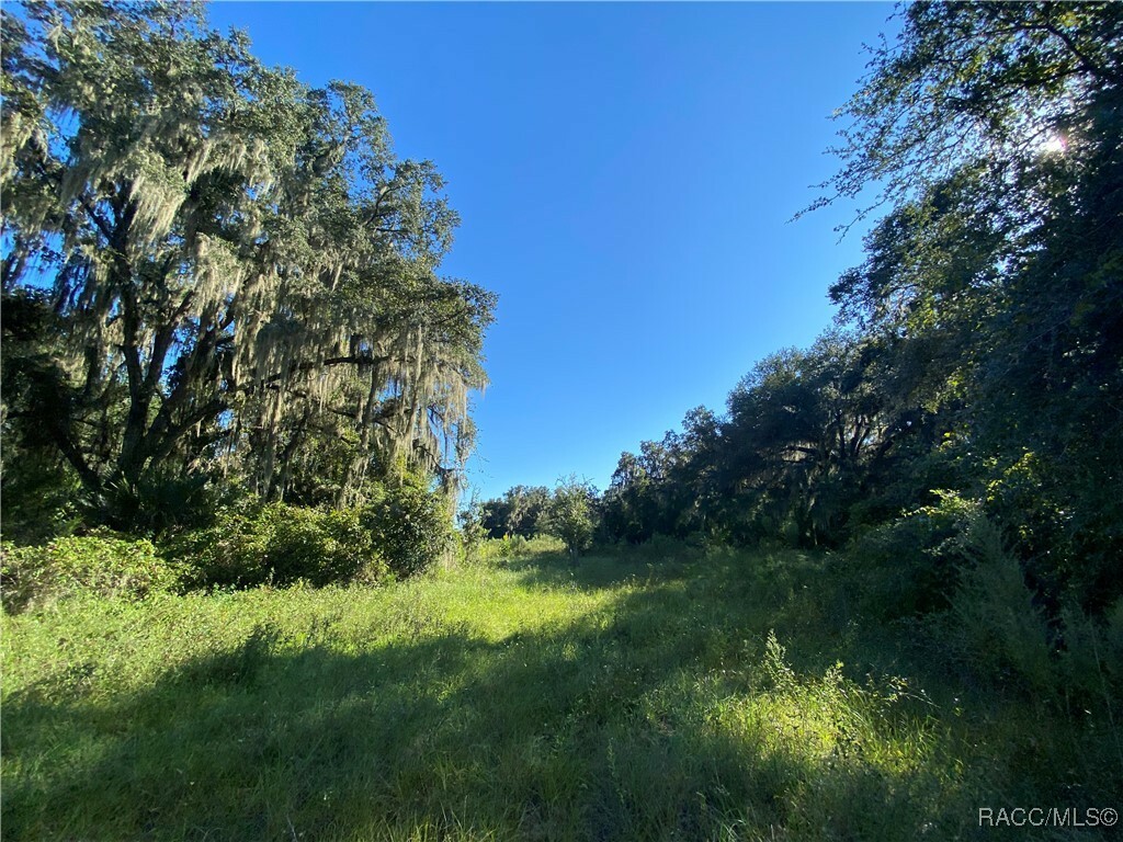 8701 S Fruition Avenue  Floral City FL 34436 photo
