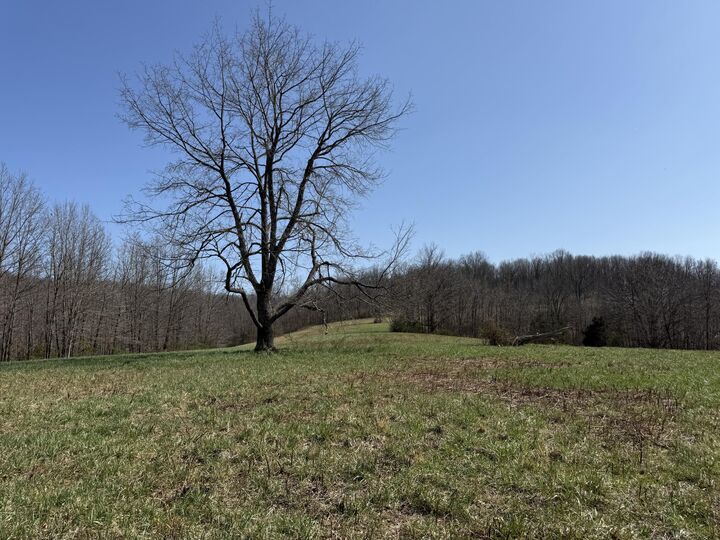 Property Photo:  000 Harmony Road  MO 65746 