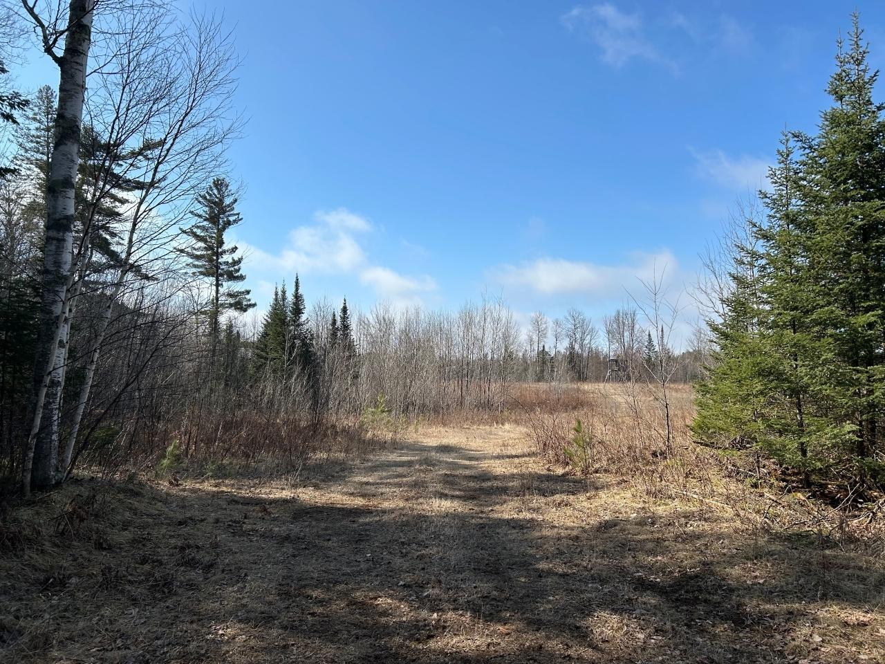 Property Photo: 3005 Klick Dr WI 54547