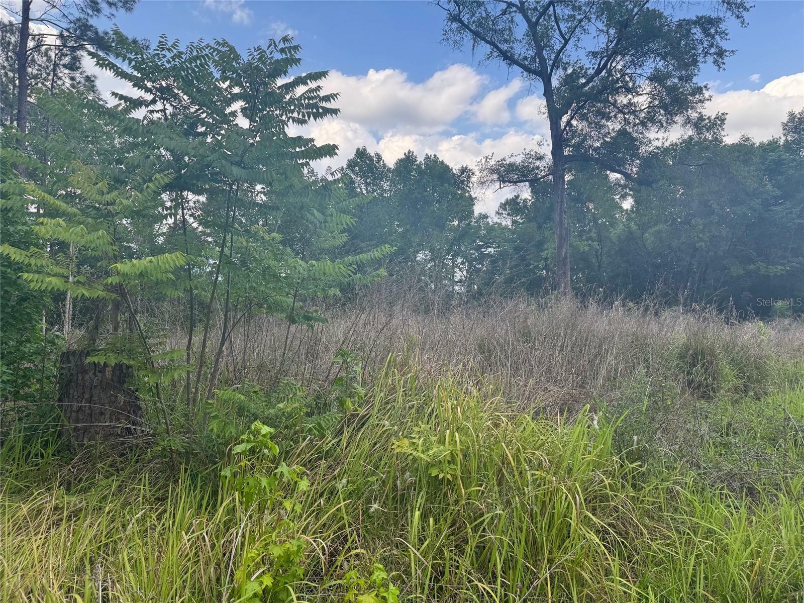 Property Photo: 0 SE 37 Court FL 34420